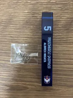 アルビレックス新潟 舞行龍ジェームズ キーホルダー