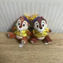 【匿名配送】ディズニー チップとデール ぬいぐるみバッジ サマーフェスティバル