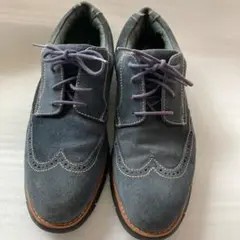 FLORSHEIM(フローシャイム)ウインクチップスエード靴
