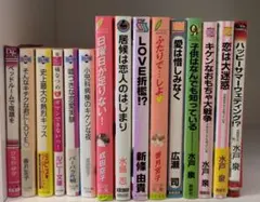 BL小説まとめ売り