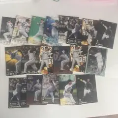 阪神タイガース プロ野球カード 19枚セット