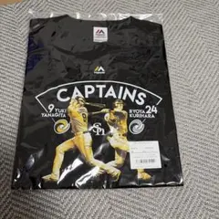 Item thumbnail for item 6636aae3-49e2-4e5b-a062-189b1c3d3c50