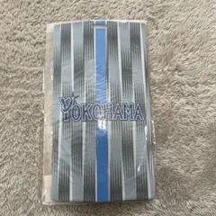 横浜DeNAベイスターズ チケットホルダー 交流戦2025 ビジター仕様