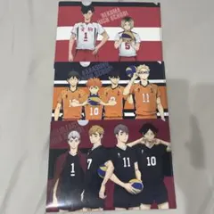 ハイキュー　クリアファイル　音駒　烏野　稲荷崎