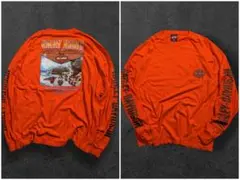 HarleyDavidsonUSA製105周年 袖フレイムロンT ディーラーXL - メルカリ