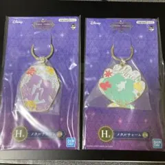 一番くじ ディズニープリンセスH賞メタルチャーム　おまけ付き