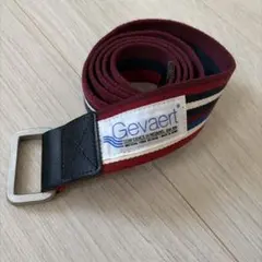 Gevaert ゲバルト ダブルリングベルト マルチストライプ