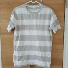 LACOSTE ストライプ Tシャツ US S