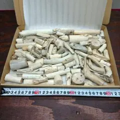 流木セットno.195