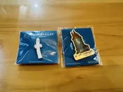 ムーミンパーク　ピンバッチ　2個セット