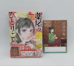 薬屋のひとりごと お薬手帳 10冊セット 新品未使用 - メルカリ