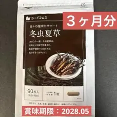 Item thumbnail for item 74f6fdd5-f95a-4ad5-9fd5-23ba384273fd