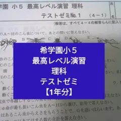 2026年最新】希学園テキストの人気アイテム - メルカリ