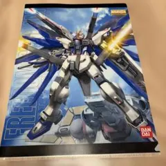 ガンダムSEED フリーダムガンダム クリアファイル