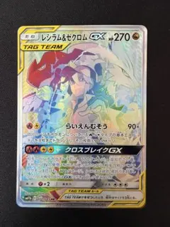 2026年最新】レシラム&ゼクロムgx hrの人気アイテム - メルカリ