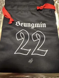 straykids スキズ VR スンミン　巾着