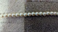 Item thumbnail for item ed45cff7-3082-47e1-b4df-e9b66ac9d323