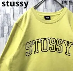 90's STUSSY ラグラン ロングスリーブTシャツ ヴィンテージレア - メルカリ
