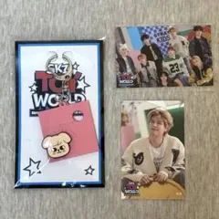 Stray Kids SKZ TOY WORLD スンミン　パピーム