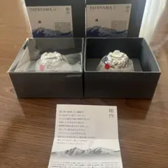 ★未使用★能作　TATEYAMA ぐい呑み L 2個セット