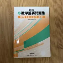 2025 実戦 数学重要問題集 数学Ⅰ・Ⅱ・Ⅲ・A・B・C(理系)