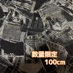 生地　ハンドメイド生地　オックス生地　デニム柄黒110×100