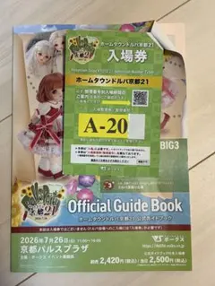 ホームタウンドルパ京都21 A240番ガイドブック 入場券 Aグループ