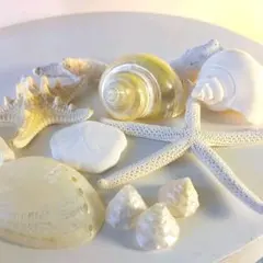 R様 リクエスト 3点 まとめ商品