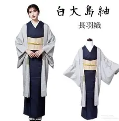 正絹 白大島紬 長羽織 上質逸品｜白系×上品コーデに最適　フ9-13