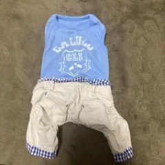 小型犬用 Tシャツとパンツセットのサムネイル