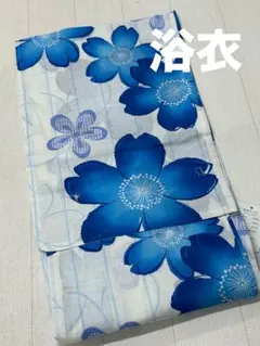 美品] 絽 洗える 夏着物 小紋 薄物 夏物 高身長 カジュアル 涼しげ 夏
