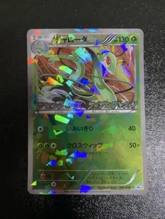 2025年最新】ジャローダ プロモの人気アイテム - メルカリ