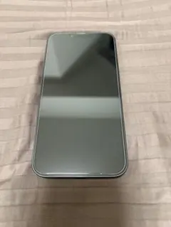 iPhone 15 Pro Max 箱・純正充電ケーブル付 画面に横線あり - メルカリ