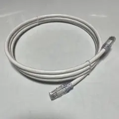【未使用】カテゴリ6A LANケーブル 2m PANDUIT & 日本製線