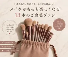 新品 初心者さんにもおすすめ！ 必要なブラシをまとめて13本 収納ポーチ付のサムネイル