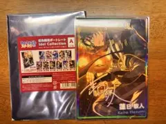 Item thumbnail for item df8efd12-3ddb-4964-a5db-4e0166271295