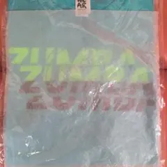 正規品　ZUMBA半袖Tシャツ