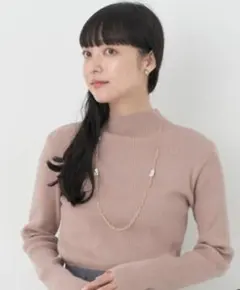 earth music＆ecologyハイネックラメニットプルオーバー モカ М