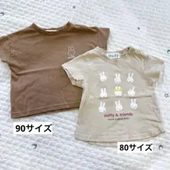 Item thumbnail for item 68a6525f-dd20-4ed6-b99d-14914865f4ff