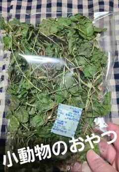 Item thumbnail for item e1c21422-7fc1-4a7e-84ff-e5ddccbca7d5