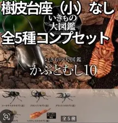 いきもの大図鑑 かぶとむし10 全5種 コンプセット 樹皮台座（小）なし