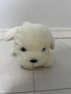 ゴールデンレトリバー　もみじのこども　ぬいぐるみ