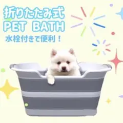 Item thumbnail for item 1ef6a213-94b3-433b-abbe-0605ff438883