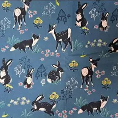 オックス生地　110×50cm　ラスト
