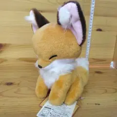 ちょコンとキツネ くるんとおねむ きなこ JB - メルカリ