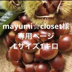 mayumi☆closet 様専用ページLサイズ1キロ