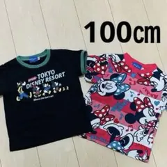 ディズニー Tシャツ 2枚セット 100cm 東京ディズニーリゾート