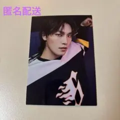 2025 SEVENTEEN's HOME ディノ