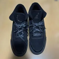 NIKE Air Jordan 3 ブラックキャット　28
