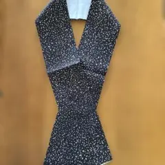 Item thumbnail for item bf5cab1d-a097-47f7-a5bc-94f1867e3daf